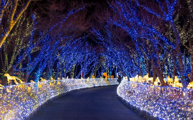 LED,是能效最好的光源嗎？