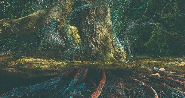 6米高LED橡樹亮相英國皇家植物園，12分鐘數字感官之旅帶您體驗大自然的奧秘